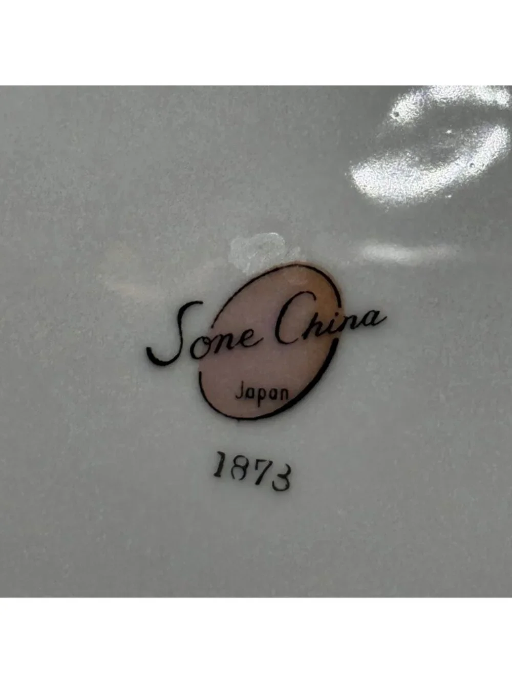 Vintage Sone China Japan 1873 Floral Porcelain Dinner Plate 10